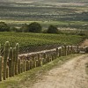 What’s happening today with Argentine wines?