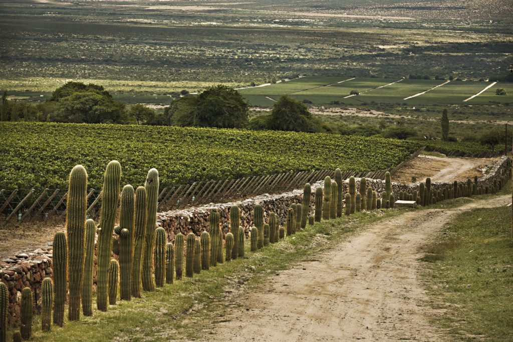 What’s happening today with Argentine wines?
