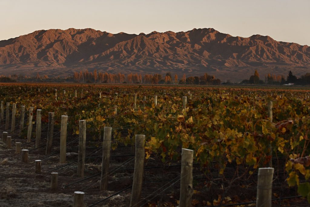 New styles of Malbec are emerging from outside Mendoza