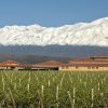 Agrelo, the touristic heart of Argentine wine