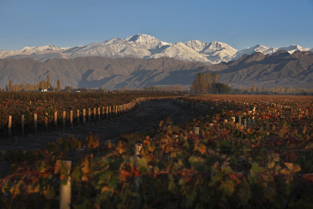 Six classic terroirs to be rediscovered in Mendoza