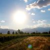 Argentine Malbec: the sky is the limit