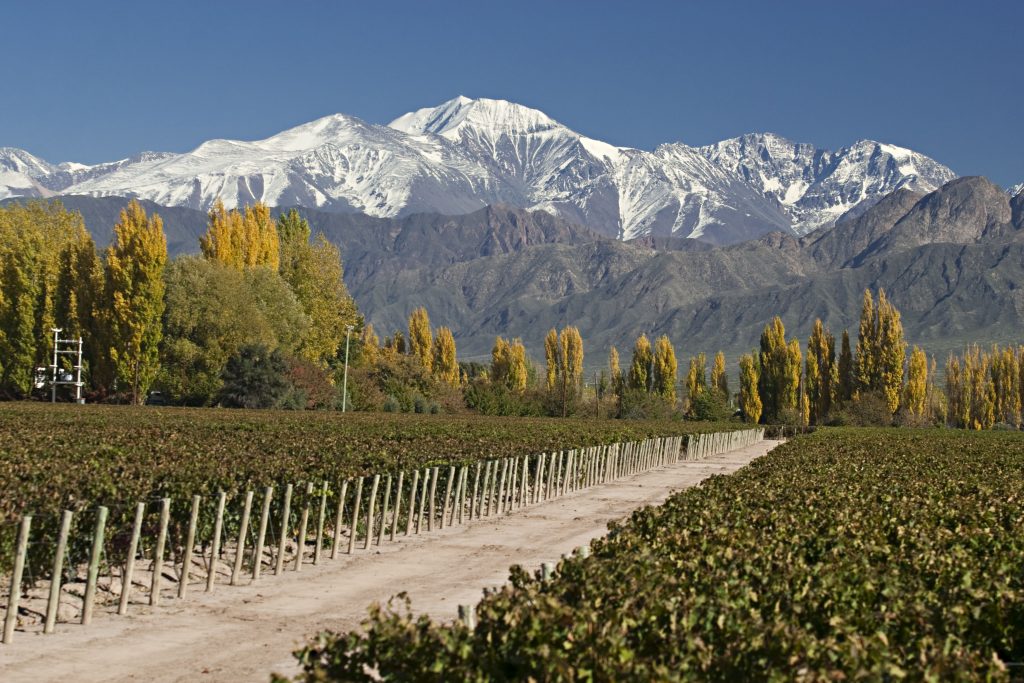 When to visit vineyards in Argentina