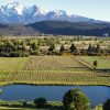 Southern Patagonia Wine