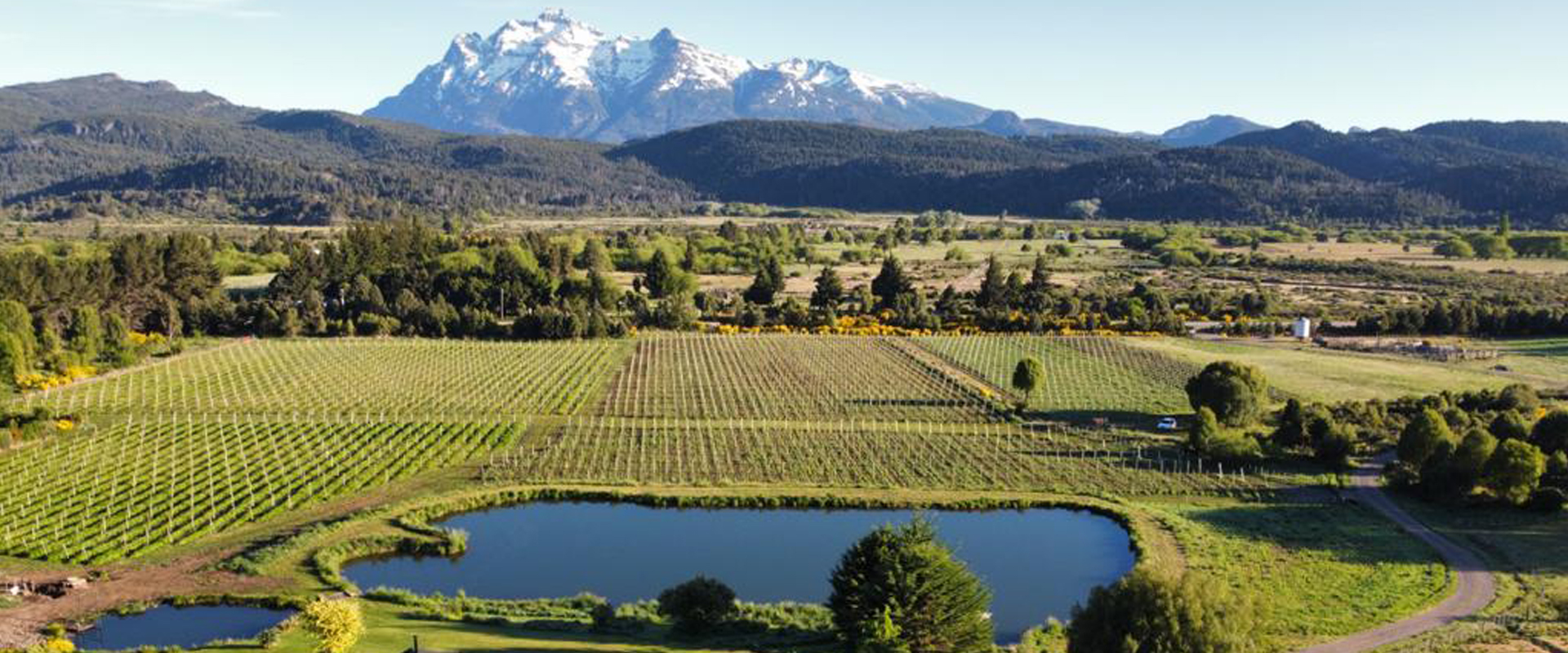 patagonia wine tours