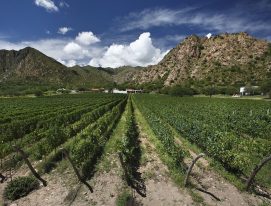 The terroirs of Argentina