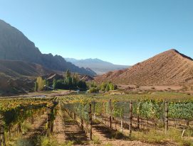 The most extreme vineyards of Argentina