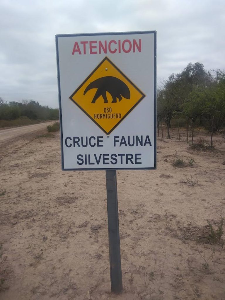 wildlife spotting in Argentina 