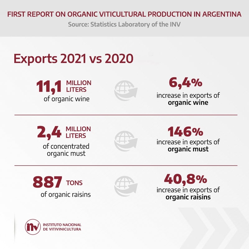 organic vineyards from argentina