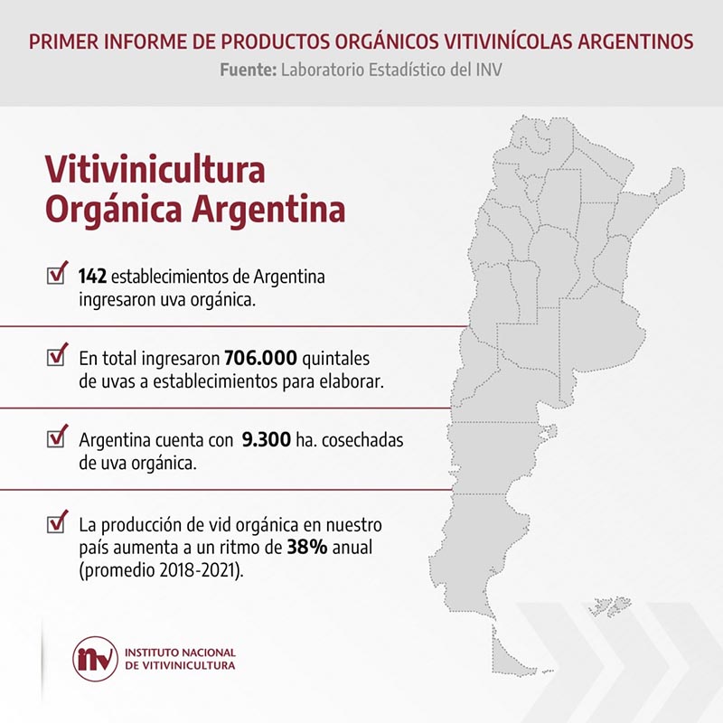 viñedos orgánicos de Argentina