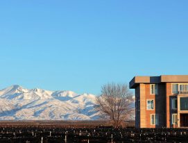 wine lodges in Mendoza