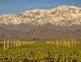 B Wineries in Mendoza