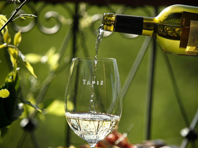 Dia Internacional do Sauvignon Blanc 