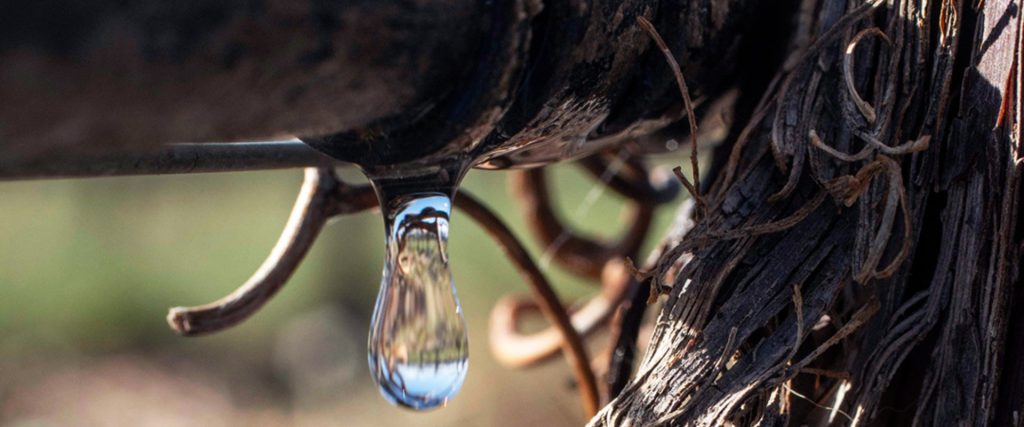 Water resources at Argentine wineries