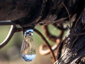 Recursos hídricos nas vinícolas argentinas