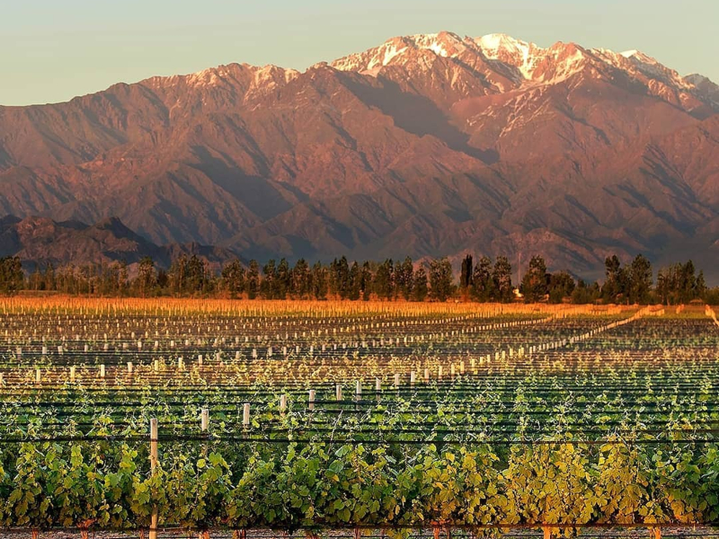 Water resources at Argentine wineries