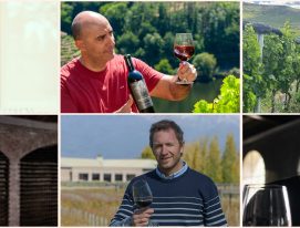 The Global Wine Masters 