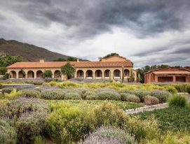 Bodega Colomé: wines from extreme altitude in the Calchaquí Valleys
