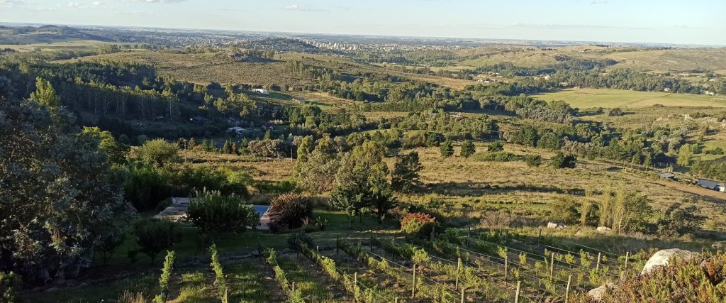 Tandil