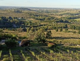 Tandil