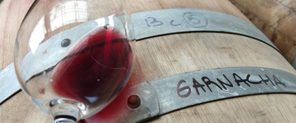 Garnacha: a nova estrela dos vinhedos argentinos 