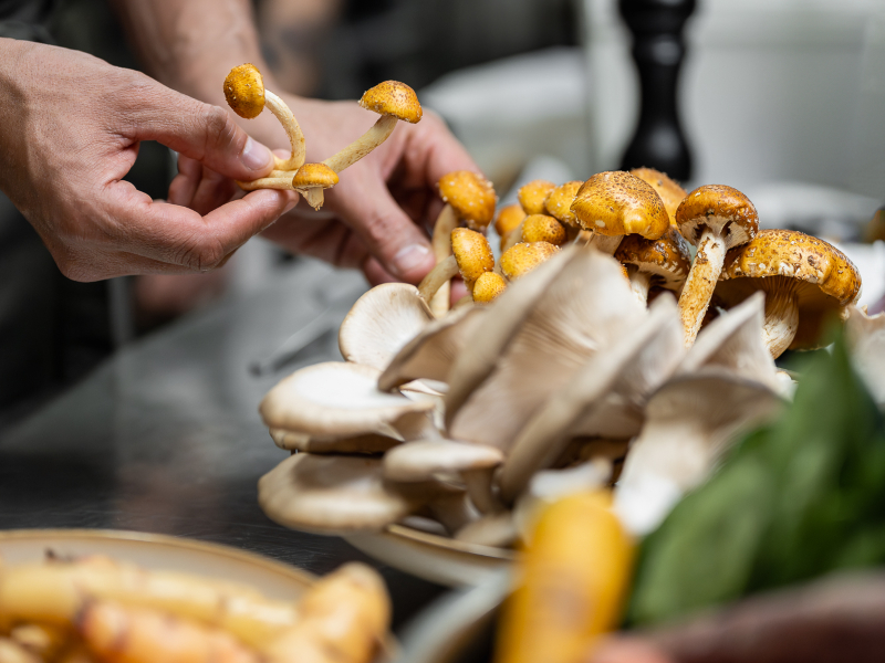 Gastronomía en Mendoza
