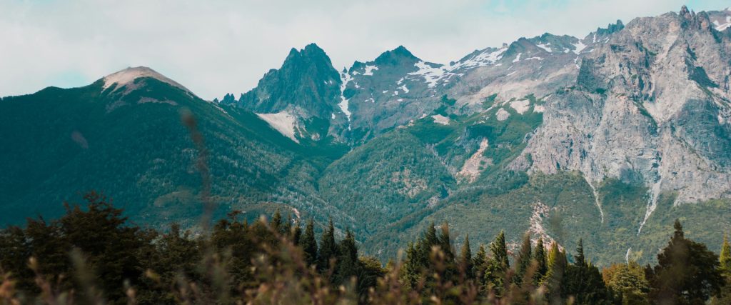 Patagonian wine trail