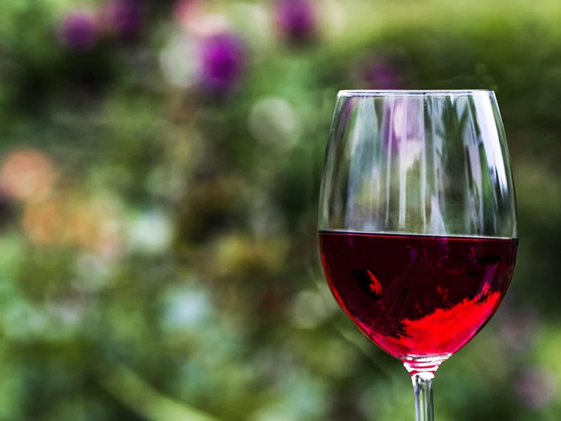 Wine Glass: Why They Matter For Your Wine Experience